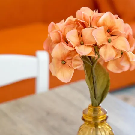 Blue 51 Appartement Vico Equense